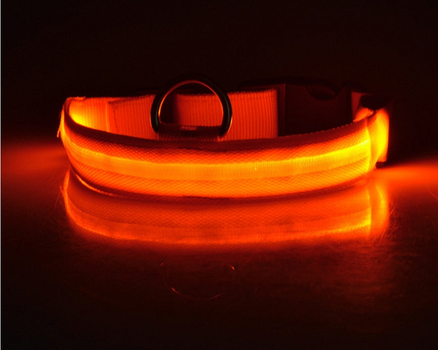 Nylon LED Hundehalsband – Leuchtend & Sicher bei Nacht  Verstellbar | LED Leuchthalsband für Hunde & Katzen | Sicherheitslicht für Spaziergänge