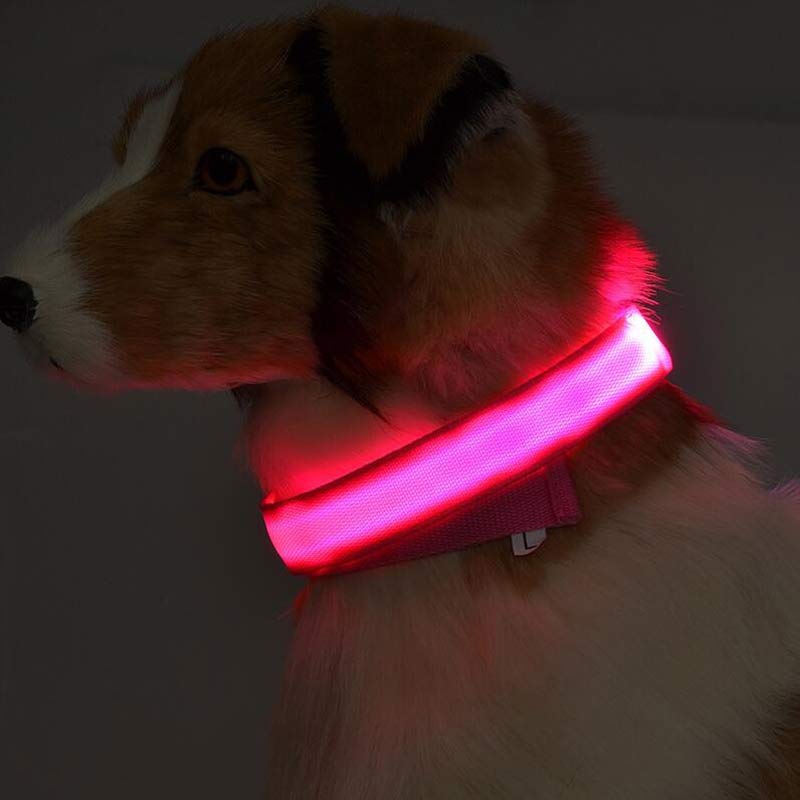 Nylon LED Hundehalsband – Leuchtend & Sicher bei Nacht  Verstellbar | LED Leuchthalsband für Hunde & Katzen | Sicherheitslicht für Spaziergänge