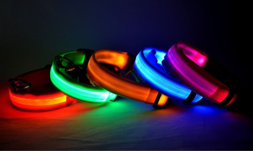Nylon LED Hundehalsband – Leuchtend & Sicher bei Nacht  Verstellbar | LED Leuchthalsband für Hunde & Katzen | Sicherheitslicht für Spaziergänge