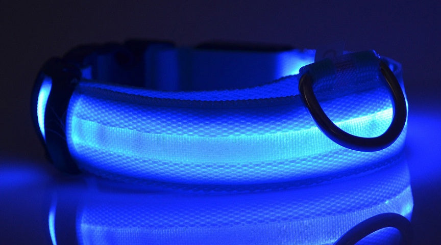 Nylon LED Hundehalsband – Leuchtend & Sicher bei Nacht  Verstellbar | LED Leuchthalsband für Hunde & Katzen | Sicherheitslicht für Spaziergänge